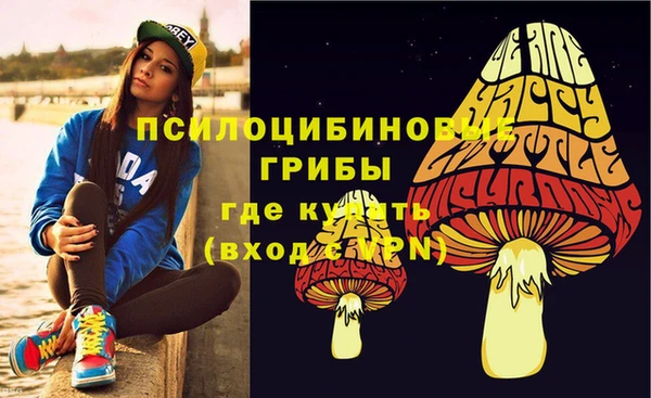МДПВ Абинск