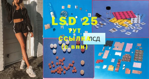 ПСИЛОЦИБИНОВЫЕ ГРИБЫ Абаза