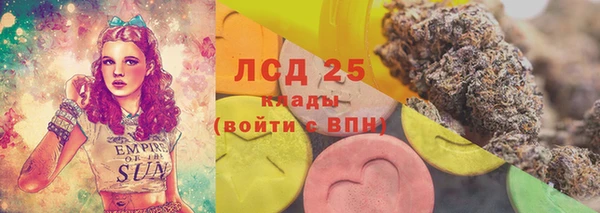 ПСИЛОЦИБИНОВЫЕ ГРИБЫ Абаза