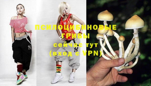 МДПВ Абинск