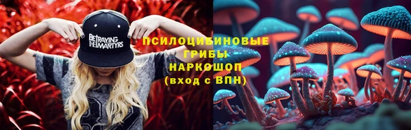 меф Алексин