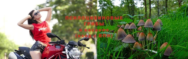 бошки Новодвинск